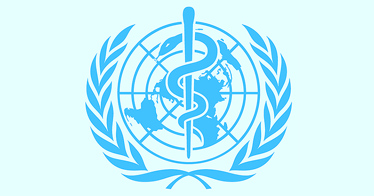 Who is WHO? Examining the Role of the World Health Organization