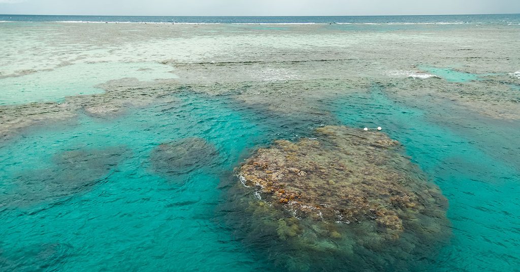 Aerial view of the Great Barrier Reef.