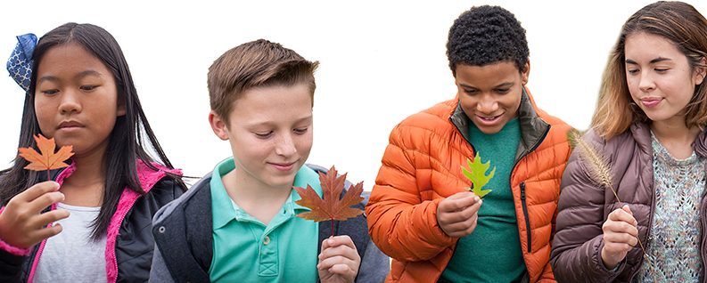 Take Students Outside with a Free Guide to Teaching About Forests