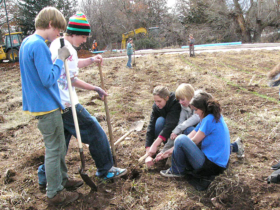 Middle-school age students planting trees.