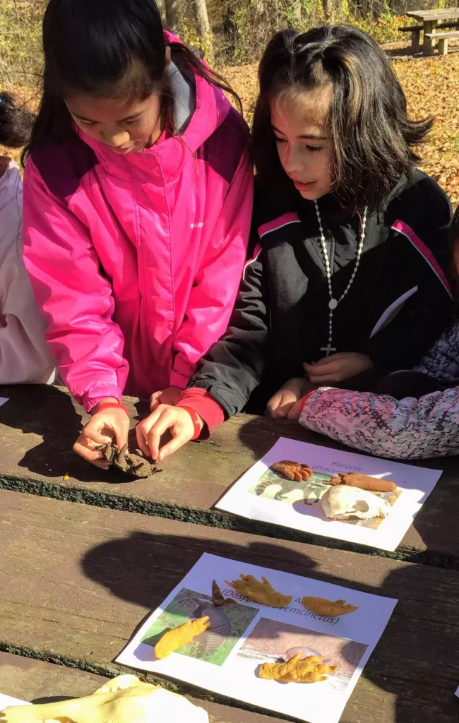 Young students analyzing a collection of leaves.