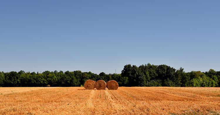 Fall Farm Fun