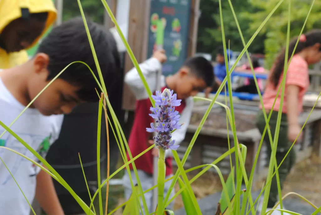 Students gardening outside.