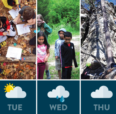 Rain or Shine: Exploring the Benefits of Outdoor Education