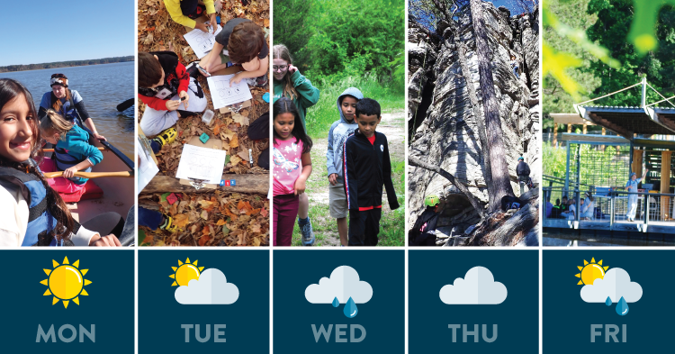 Rain or Shine: Exploring the Benefits of Outdoor Education