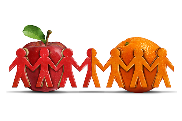 Effective Strategies for Managing Split Grade Classes - TEACH Magazine