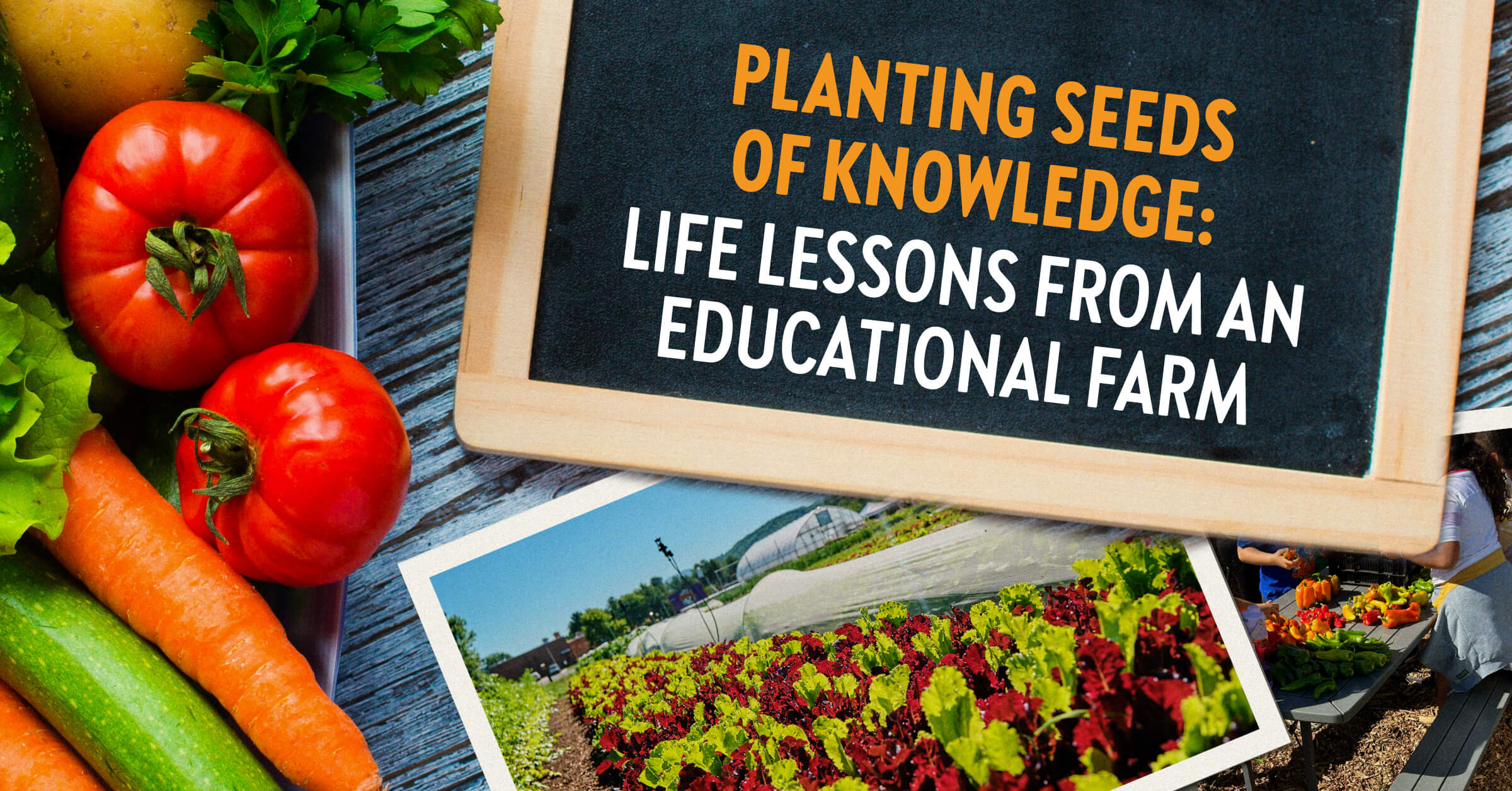 Planting Seeds of Knowledge: Life Lessons from an Educational Farm